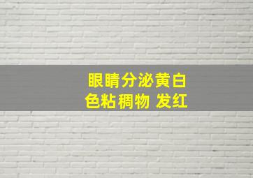 眼睛分泌黄白色粘稠物 发红